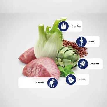 Principais ingredientes da Racao N-D Quinoa Caes Adultos Digestion Cordeiro 5